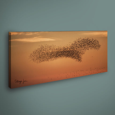 PANORAMIC - CLARISSA STARLING BIRD - 1.2m x 50cm